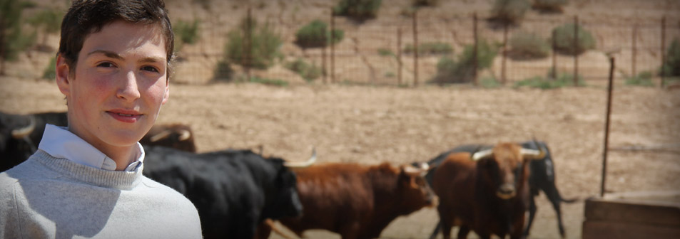 Finca Toropasión, la belleza del toro en el campo