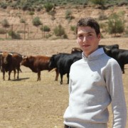 Un paraje natural para contemplar al toro bravo