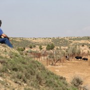 Visitas guiadas, una experiencia única en el entorno del toro bravo