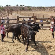 El club taurino de Estella visitó las instalaciones de Finca Toropasión