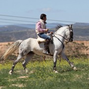 Un paraje natural para contemplar al toro bravo