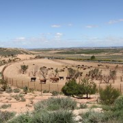 Un paraje natural para contemplar al toro bravo