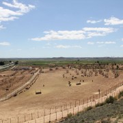 Un paraje natural para contemplar al toro bravo