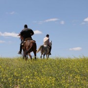 Un paraje natural para contemplar al toro bravo