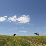 Un paraje natural para contemplar al toro bravo