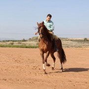 Visitas guiadas, una experiencia única en el entorno del toro bravo