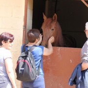 Visitas guiadas, una experiencia única en el entorno del toro bravo