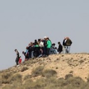 El club taurino de Estella visitó las instalaciones de Finca Toropasión