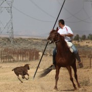 El club taurino de Estella visitó las instalaciones de Finca Toropasión