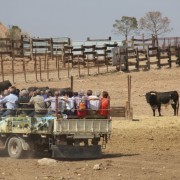 El club taurino de Estella visitó las instalaciones de Finca Toropasión