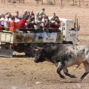 El club taurino de Estella visitó las instalaciones de Finca Toropasión