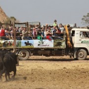 El club taurino de Estella visitó las instalaciones de Finca Toropasión