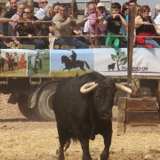 El club taurino de Estella visitó las instalaciones de Finca Toropasión