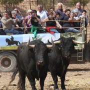 El club taurino de Estella visitó las instalaciones de Finca Toropasión