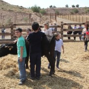 El club taurino de Estella visitó las instalaciones de Finca Toropasión