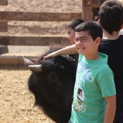 El club taurino de Estella visitó las instalaciones de Finca Toropasión