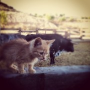 La mirada de Instagram en Finca Toropasión