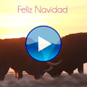 Feliz Navidad y Feliz Año 2013