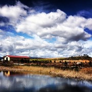 La mirada de Instagram en Finca Toropasión II