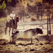 La mirada de Instagram en Finca Toropasión II