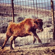 La mirada de Instagram en Finca Toropasión II