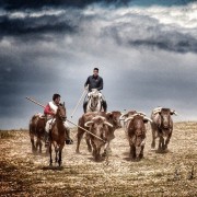 La mirada de Instagram en Finca Toropasión III