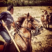 La mirada de Instagram en Finca Toropasión III