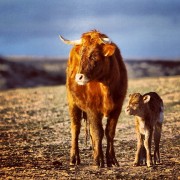 La mirada de Instagram en Finca Toropasión III