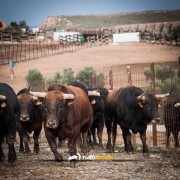 La mirada de Instagram en Finca Toropasión IV