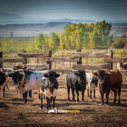 La mirada de Instagram en Finca Toropasión IV