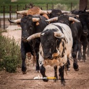 La mirada de Instagram en Finca Toropasión IV