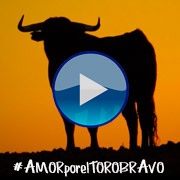 Amor por el toro bravo - Feliz Navidad y feliz año 2015